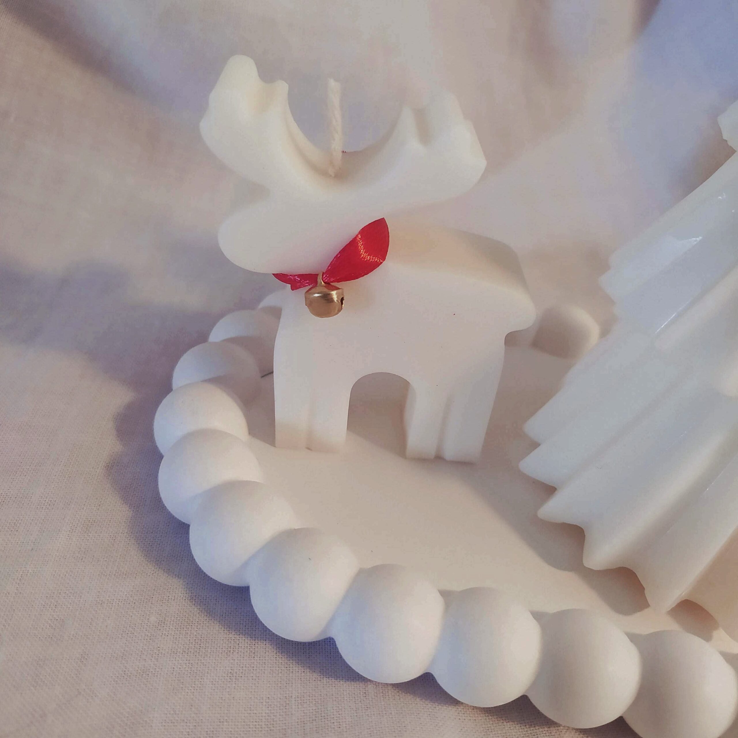 IMG_20241113_134517-01