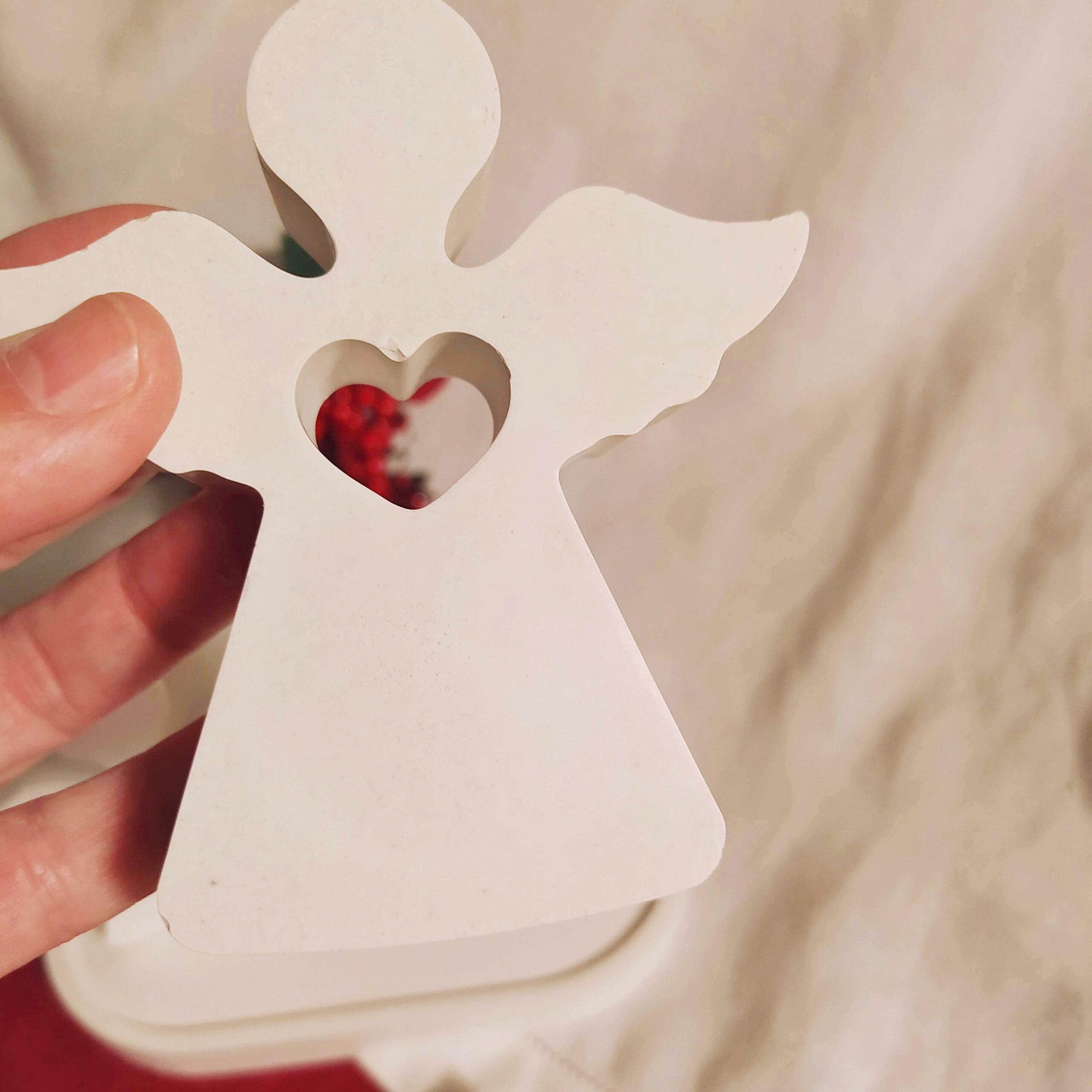 IMG_20241121_204011-01